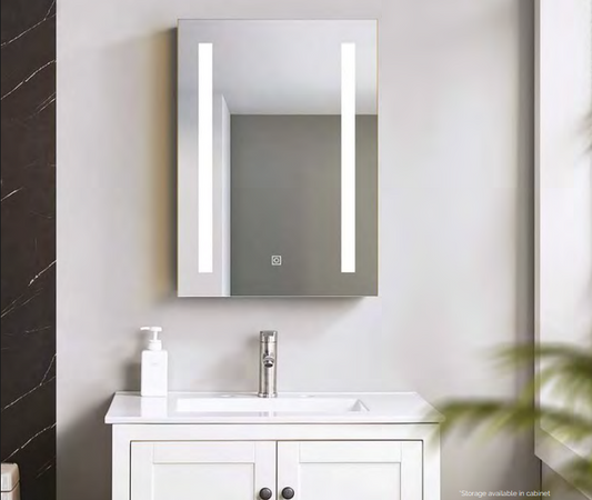 Intro Cabinet Mirror 500mm x 700mm